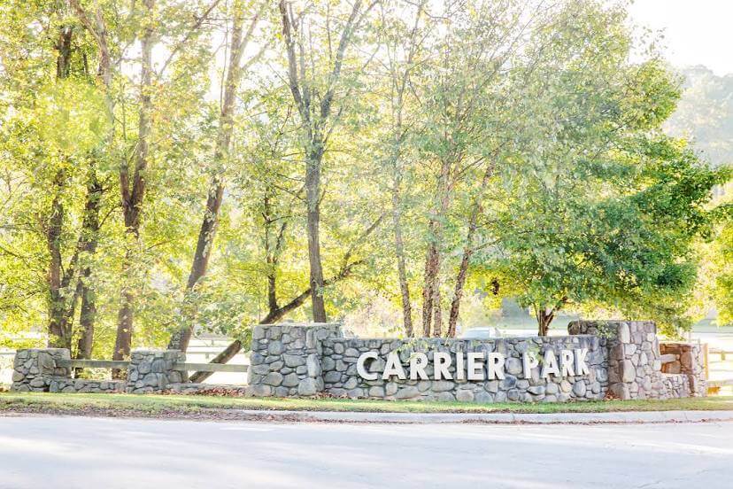 Carrier Park